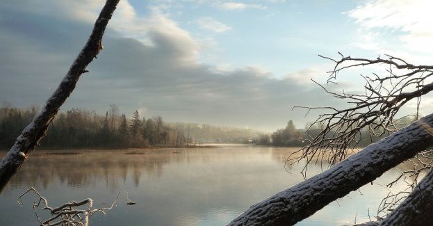 Stany alarmowe przekroczone na 14 wodowskazach; w powiecie kłodzkim alarm przeciwpowodziowy