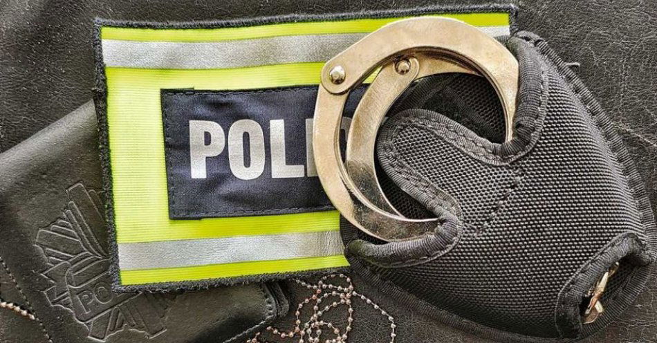 zdjęcie: Nocna eskapada zakończona zarzutami / fot. KPP w Zgierzu