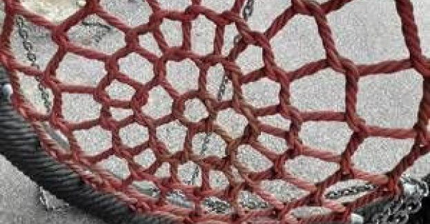 Sprawca kradzieży bocianiego gniazda zatrzymany przez ostrowskich kryminalnych