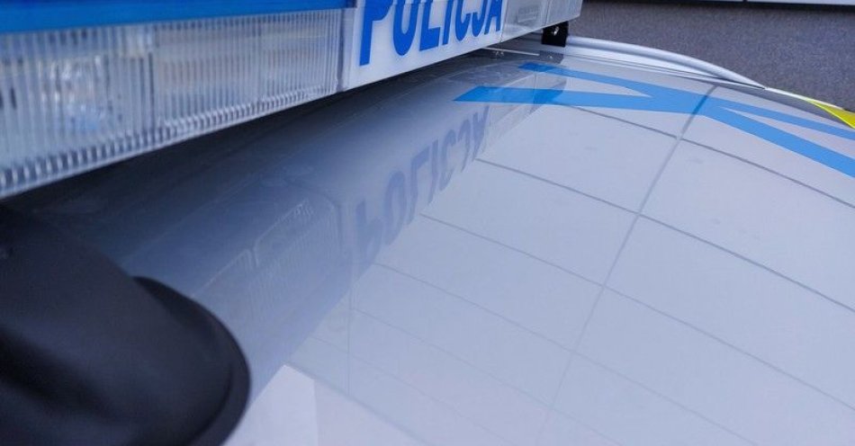 zdjęcie: Zatrzymani za serię kradzieży markowego alkoholu w Krośnie / fot. KMP w Krośnie