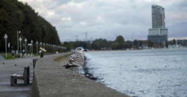 Awaria wodociągu w Gdyni; zamknięta ulica i zmieniona organizacja ruchu