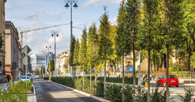 Bezpieczniej na katowickich drogach