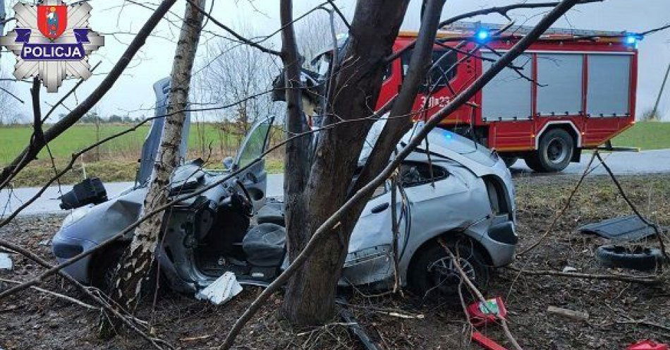 zdjęcie: Poważny wypadek w miejscowości Zrąb / fot. KMP Zamość