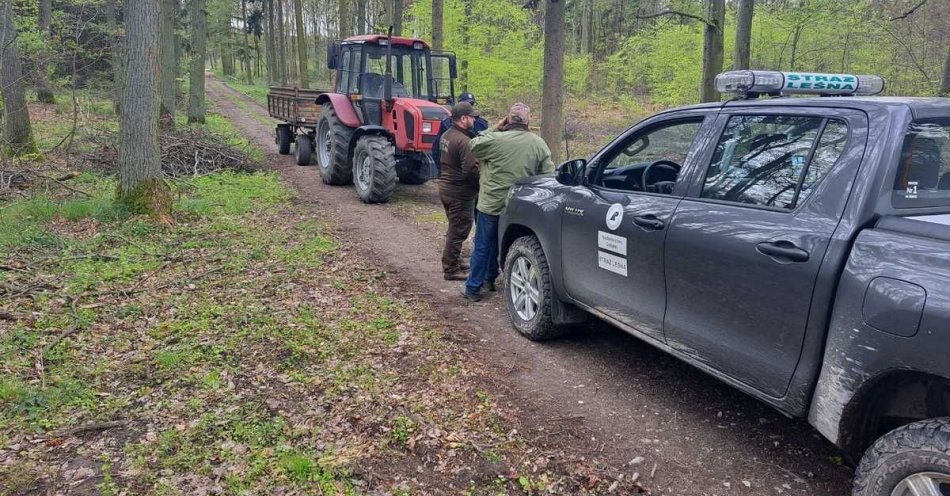 zdjęcie: Wspólny patrol ze Strażą Leśną / fot. KPP Mogilno