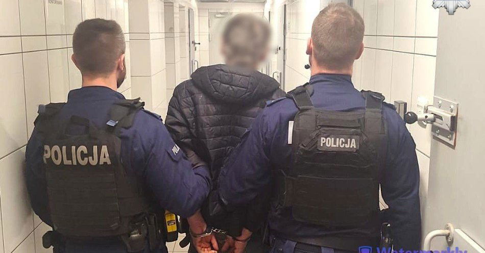 zdjęcie: Sosnowiec: dziesięciu zatrzymanych w akcji Poszukiwany / fot. KMP w Sosnowcu