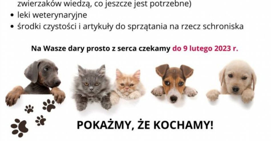 zdjęcie: Trwa  zbiórka najpotrzebniejszych rzeczy dla psów i kotów ze schroniska / fot. KPP w Chojnicach