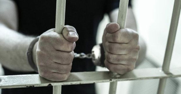 Radzyńscy kryminalni zatrzymali "przestępcze trio"