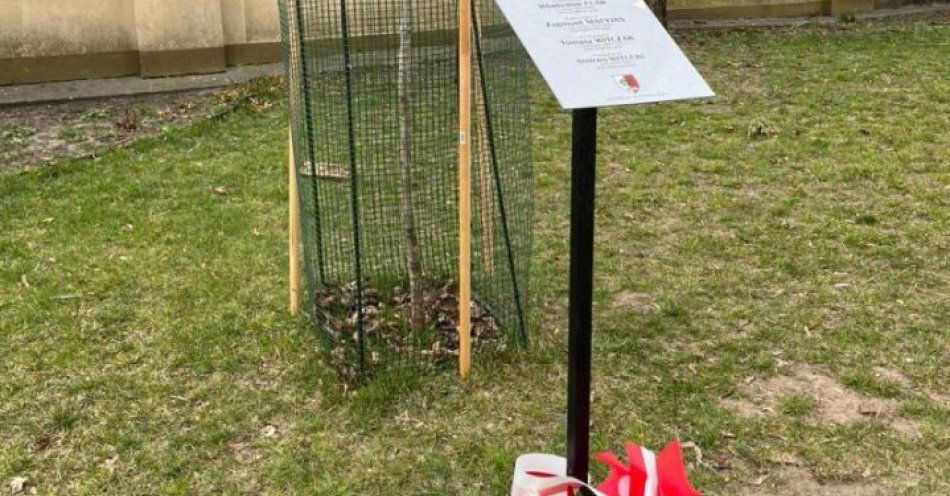 zdjęcie: W hołdzie funkcjonariuszom Policji Państwowej przy Dębie Pamięci / fot. KPP w Człuchowie W hołdzie ofiarom Zbrodni Katyńskiej 13.04.26