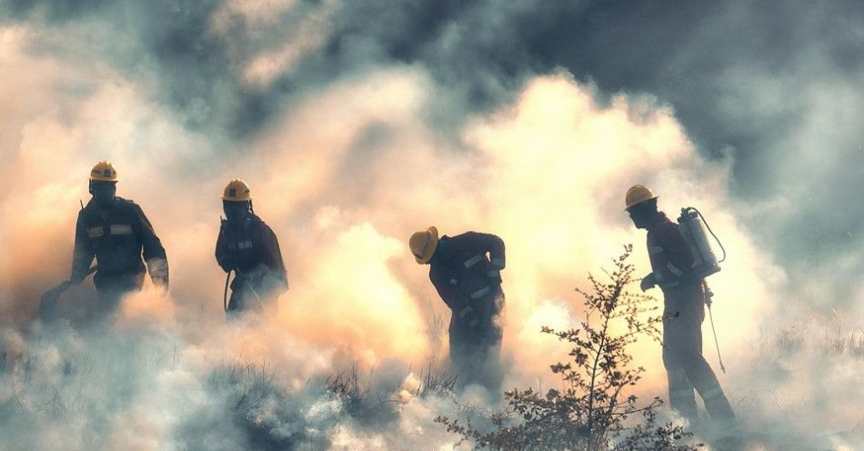 zdjęcie: Wypalanie traw grozi poważnymi pożarami i karami / fot. KPP w Lubinie