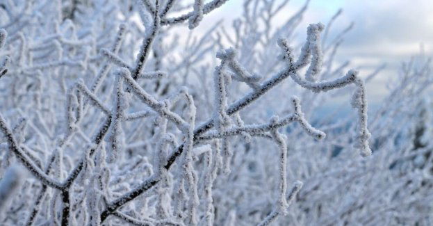 Małopolskie: po opadach śniegu prawie 30 tys. odbiorców nie ma prądu