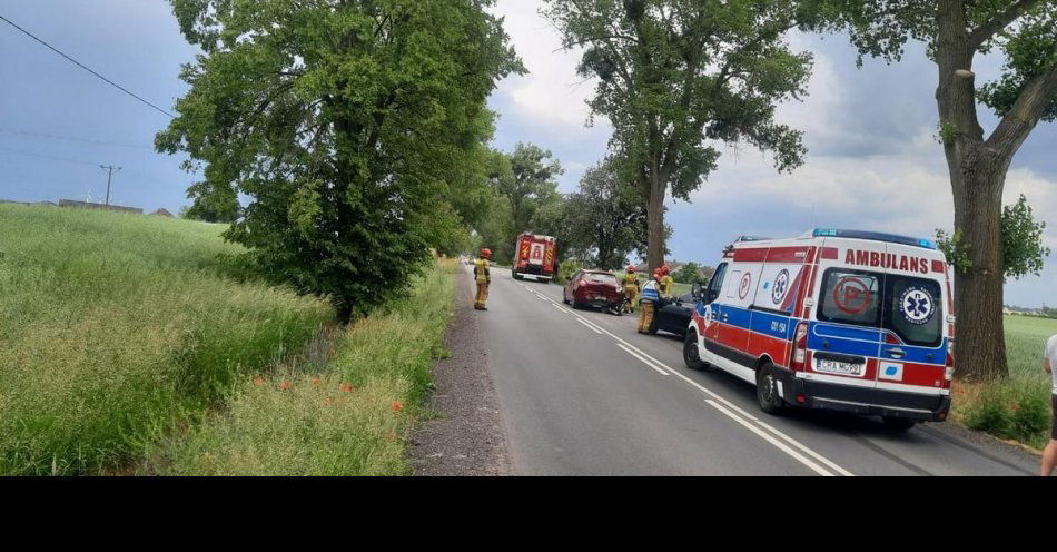 zdjęcie: Nietrzeźwy kierowca sprawcą kolizji / fot. KPP w Radziejowie