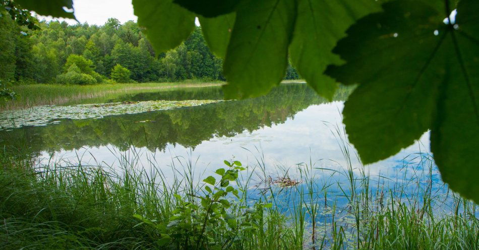 zdjęcie: Górznieńsko-Lidzbarski Park Krajobrazowy poleca się na rower i spacery / fot. nadesłane