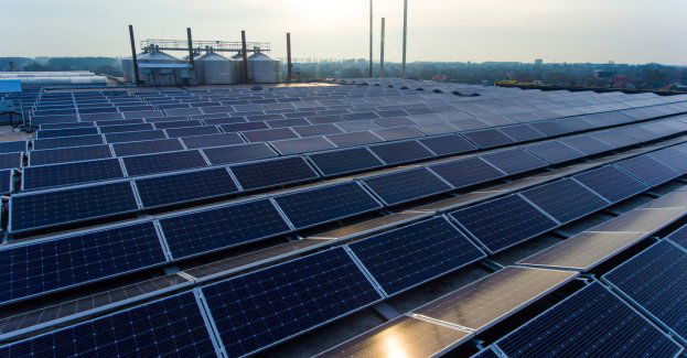 W ramach Ciechanowskiego Klastra Energii ruszyła budowa farmy fotowoltaicznej