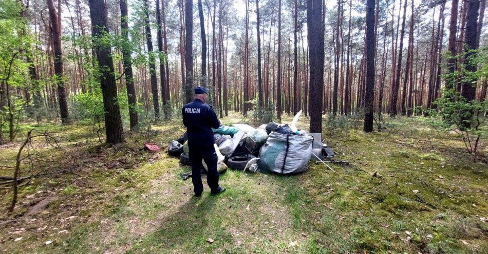 zdjęcie: Za pozostawienie śmieci w lesie odpowie przed sądem / fot. KMP w Piotrkowie Trybunalskim