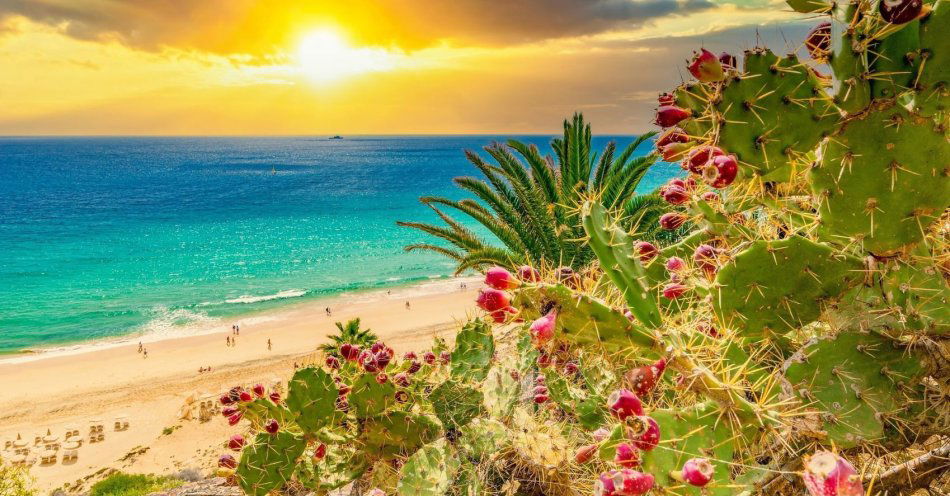 zdjęcie: O 21 proc. więcej rezerwacji na Wielkanoc. Polacy wcześniej otwierają sezon letnich wyjazdów / fot. nadesłane