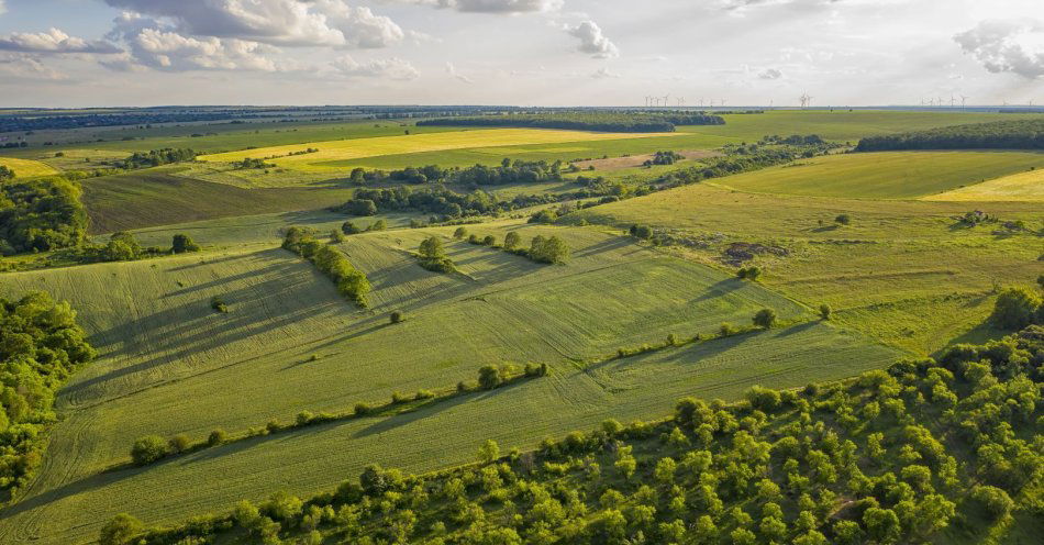 zdjęcie: Kraków dołączył do Paktu mediolańskiego; chce wspierać m.in. lokalnych rolników / v11807541