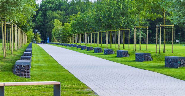 Ratusz ogłosił przetarg na rewitalizację Błoni pod Zamkiem