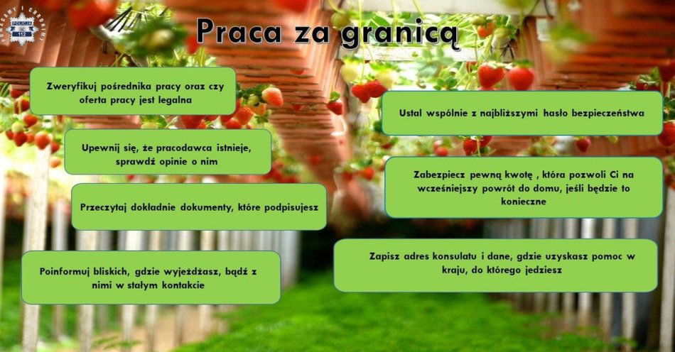 zdjęcie: Praca za granicą – zadbaj o swoje bezpieczeństwo! / fot. KPP w Krakowie