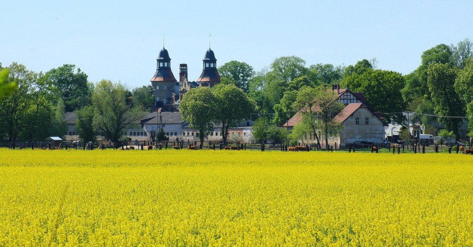 zdjęcie: Gminy Województwa Ślaskiego dostaną wsparcie finansowe / pixabay/3359317