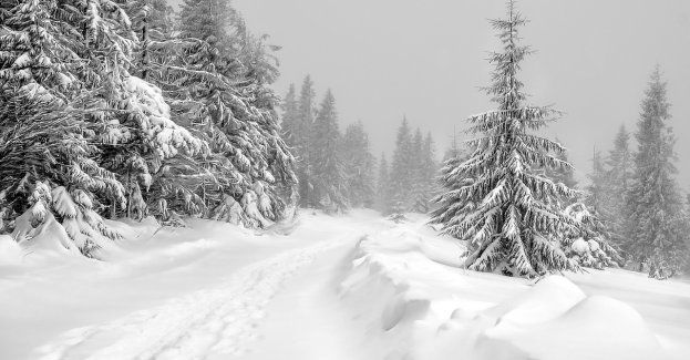 Opady śniegu pogorszyły warunki na drogach; problemy na górskich odcinkach