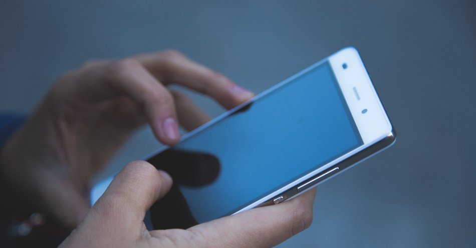 zdjęcie: Ukradł telefon, został zatrzymany / pixabay/1851218