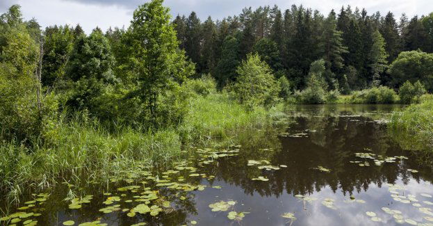 Trzeba zrobić wszystko aby zabezpieczyć markę UNESCO dla Puszczy Białowieskiej
