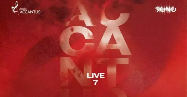 Accantus Live 7