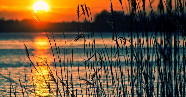 Nie udało się odnaleźć zaginionego na Jeziorze Skarlińskim