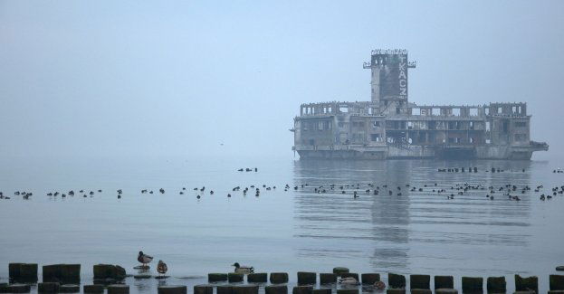 Zabójstwo w Gdyni; zatrzymano 48-letniego mężczyznę