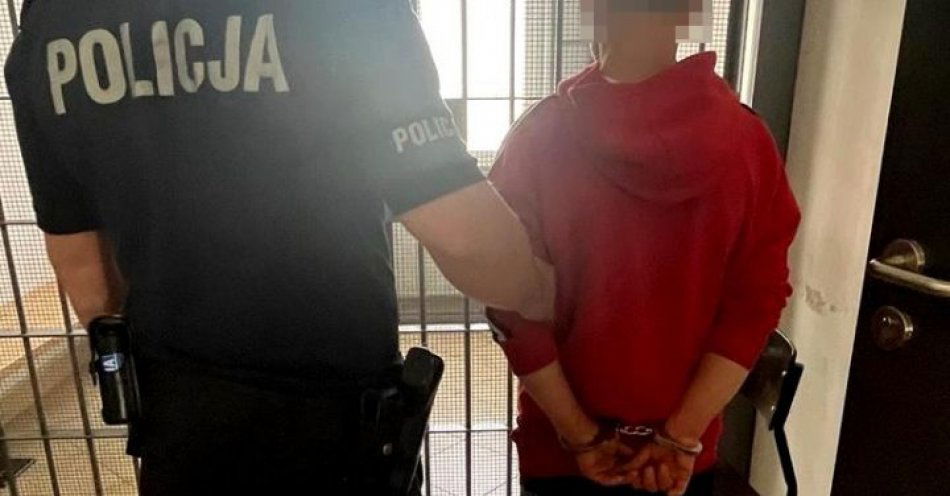 zdjęcie: Areszt dla podejrzanego o rozbój 24 latka / fot. KPP Kraśnik