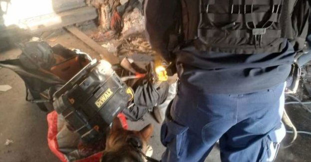 Policyjny pies odnalazł elektronarzędzia warte kilkanaście tysięcy