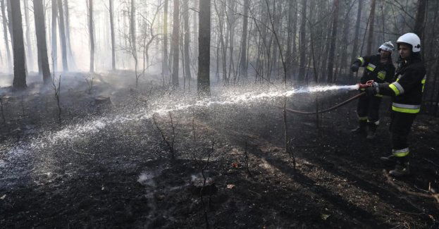Kilkudziesięciu polskich strażaków pojedzie do Francji szkolić się w gaszeniu pożarów lasów