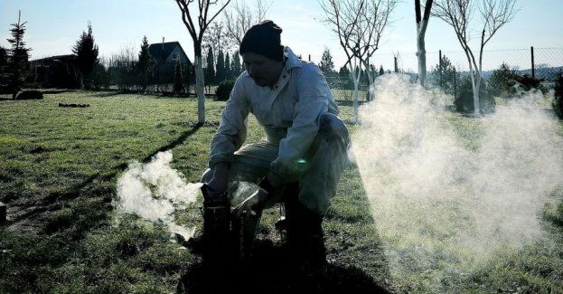 Policjant z pasją do pszczół