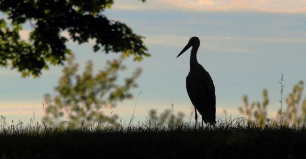 Historia mormońskiej wsi na wystawie w Zełwągach