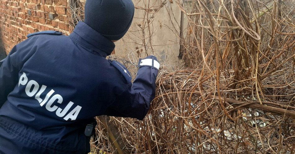 zdjęcie: Niskie temperatury zagrażają życiu Zadzwoń i pomóż / fot. KPP Wysokie Mazowieckie
