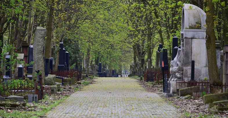 zdjęcie: Cmentarz Żydowski na Woli – spacer z przewodnikiem! / fot. By Adrian Grycuk - Praca własna, CC BY-SA 3.0 pl, https://commons.wikimedia.org/w/index.php?curid=63706549
