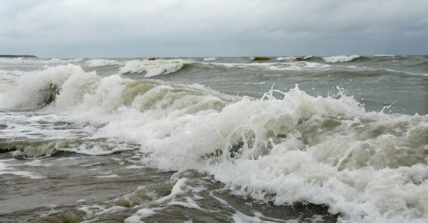 Czerwone flagi na wielu kąpieliskach morskich z powodu wysokich fal i prądów wstecznych