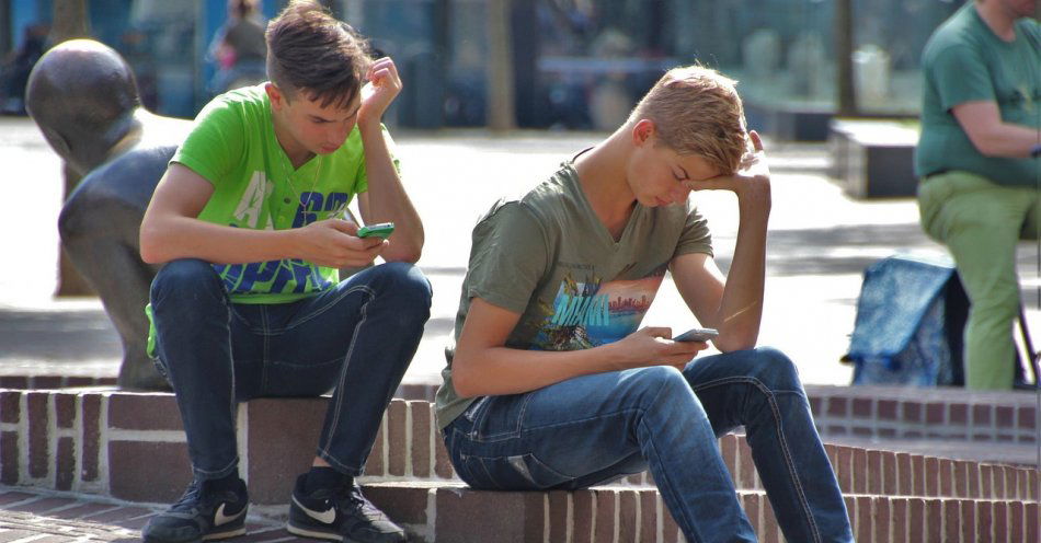 zdjęcie: Dostęp do Internetu dla wszystkich mieszkańców gminy Polkowice / pixabay/1553971
