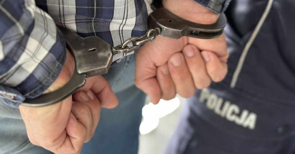 zdjęcie: Kryminalni zatrzymali 36-latka podejrzanego o kradzież z włamaniem / fot. KMP w Gdańsku