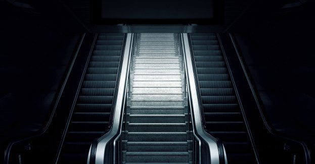 W metrze dbają o pszczoły i ptaki