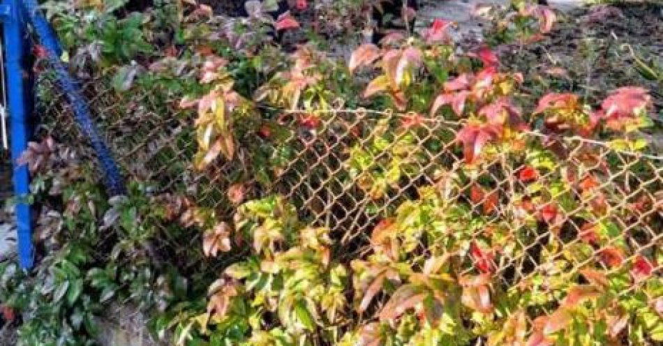 zdjęcie: Pomóżmy bezdomnym przetrwać zimę / fot. KPP Międzychód