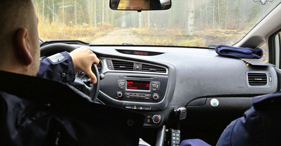 zdjęcie: Kupuj choinkę tylko z legalnego źródła / fot. KPP w Kłobucku