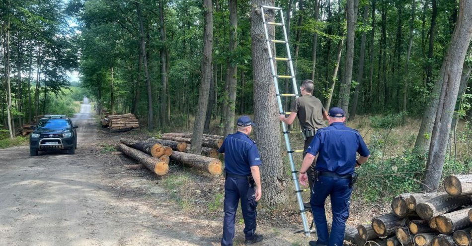 zdjęcie: Wspólny patrol ze Strażą Leśną / fot. KPP Mogilno