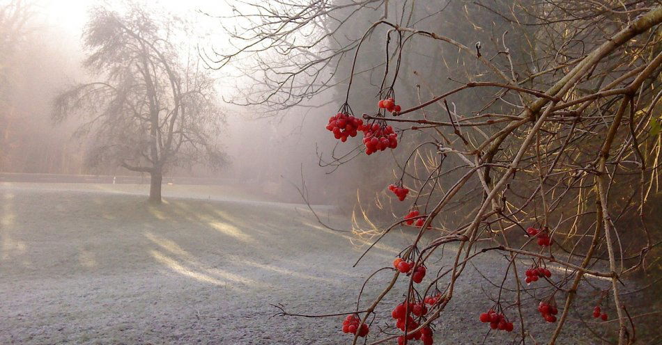 zdjęcie: Pogoda Jaworzyna Śląska / pixabay/2721653