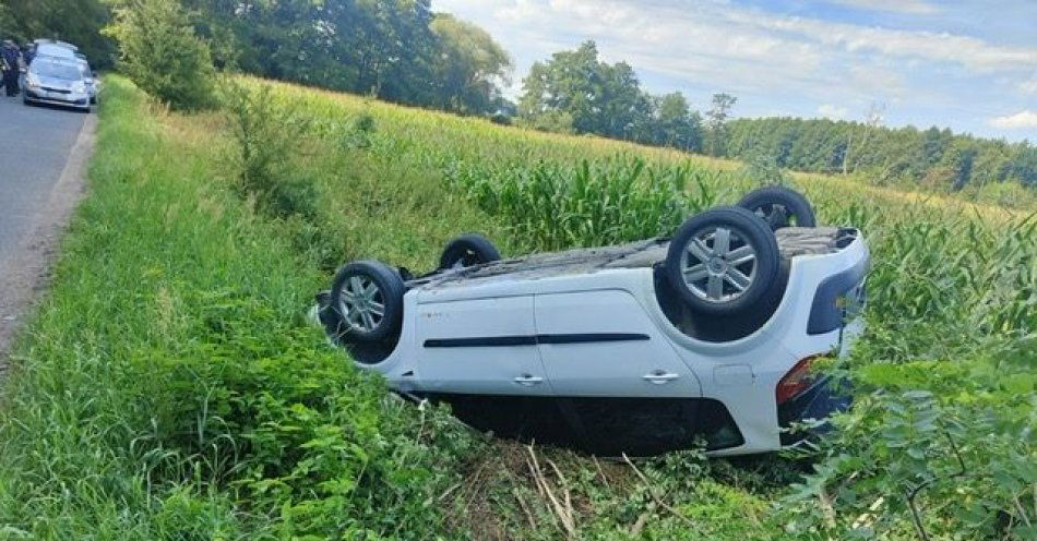 zdjęcie: Plaga nietrzeźwych kierowców / fot. KPP Wrzesnia