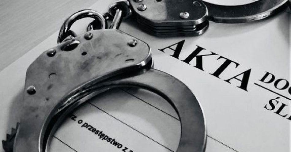 zdjęcie: Dzielnicowi ustalili sprawcę kradzieży drzewa / fot. KMP w Radomiu