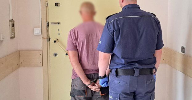 Nietrzeźwy mężczyzna jechał samochodem i uderzył w drzewo. Mieszkaniec powiatu elbląskiego stanie przed sądem
