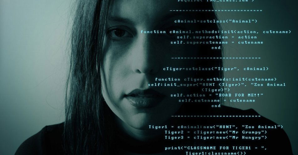 zdjęcie: Jak chronić się przed cyberprzestępcami / pixabay/2275592