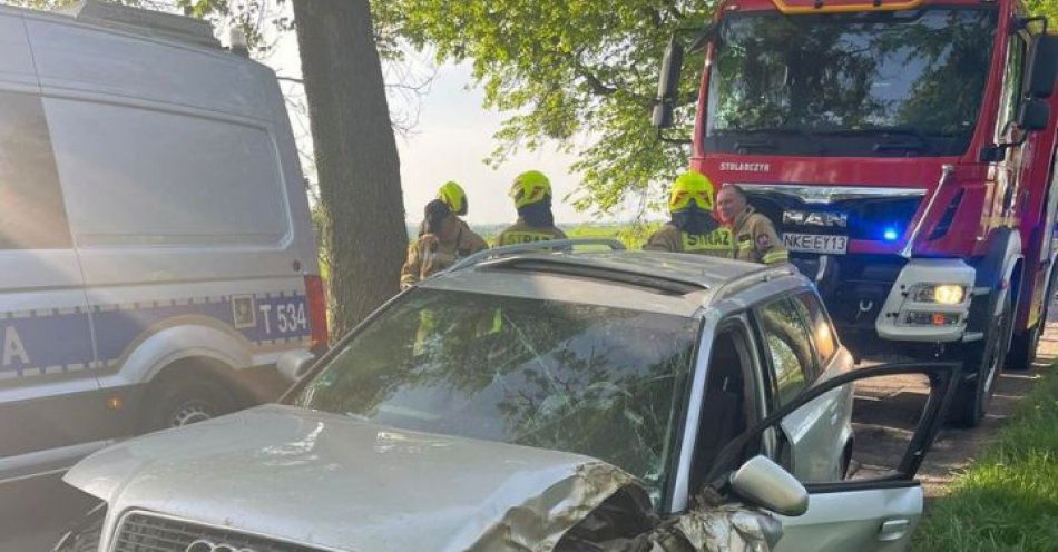 zdjęcie: Pijany uderzył w przydrożne drzewo / fot. KPP w Kętrzynie