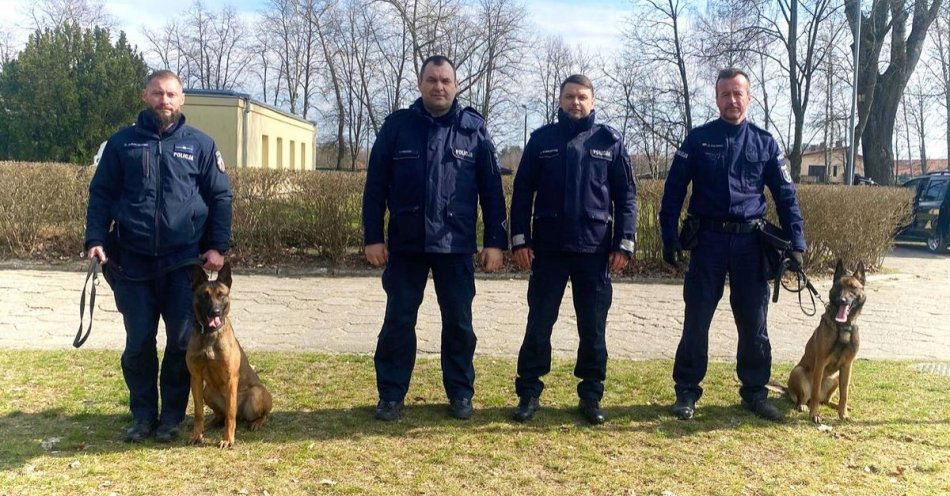 zdjęcie: Leia i Iskra zdały egzaminy i rozpoczynają z opiekunami służbę / fot. KPP w Ełku